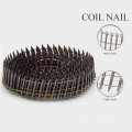 Nouveau design Screw Shank Wire Coil Nails avec un bon prix